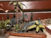 20110319_pcup11_0374-as-smart-object-1