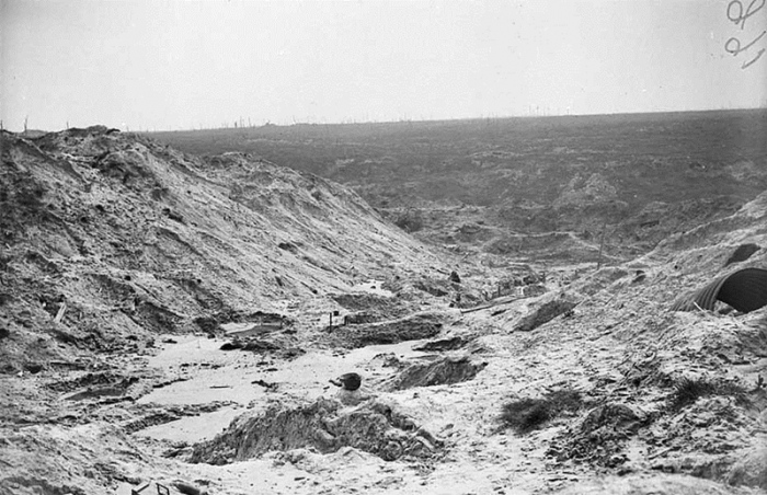 devastation at the crater on the bluff looking towards St. Eloi.jpg