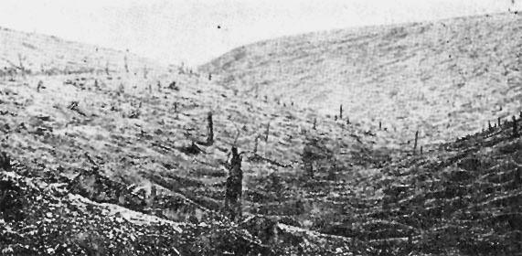 Verdun