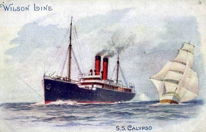 011c calypso