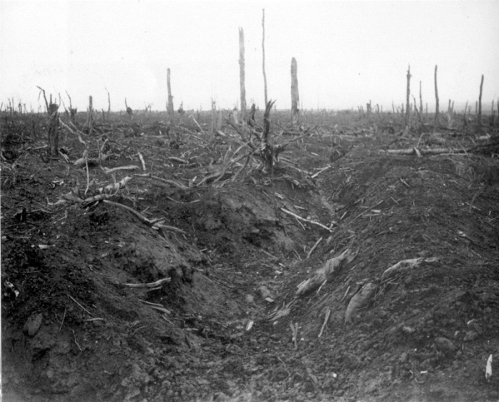 15a German trench in Delville Wood