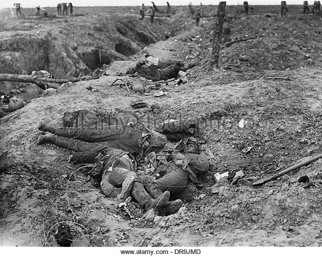 24bb guillemont-1916-dr9jmd