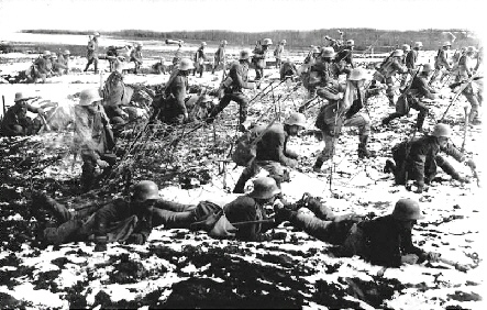 10.3. bois des corbeaux 1