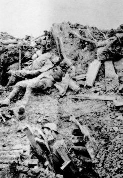 10.3. bois des corbeaux 2