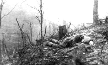 10.3. bois des corbeaux