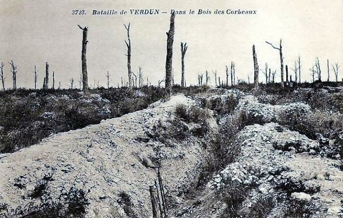 10.3. le-combat-du-bois-des-corbeaux