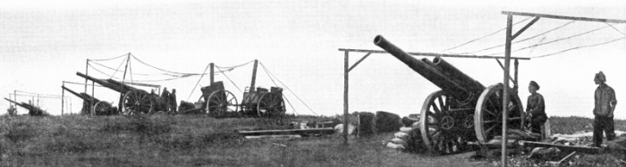 9.9aaa 60 Pounder Battery Ginchy