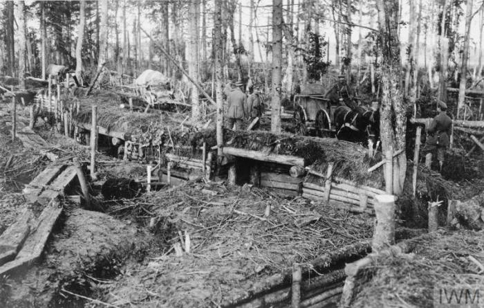THE GERMAN OCCUPATION OF LATVIA, FEBRUARY-NOVEMBER 1918