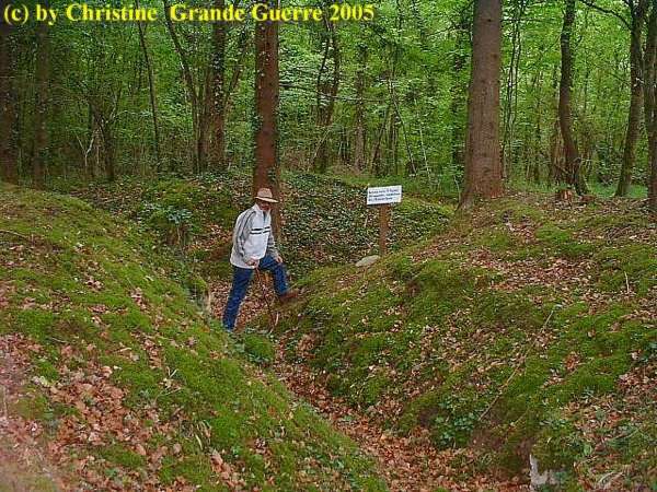 16.9.aaa Apremont Forest Trenches 3