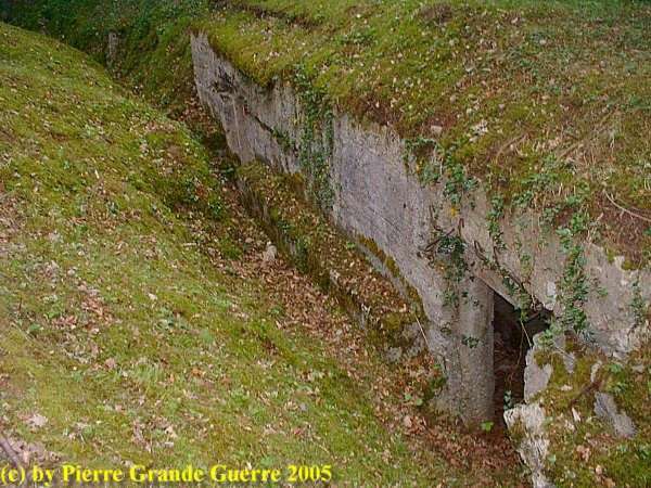 16.9.aaa Apremont Forest Trenches 4