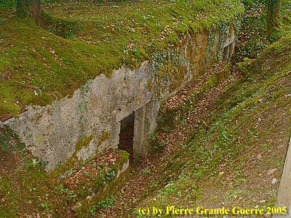 16.9.aaa Apremont Forest Trenches