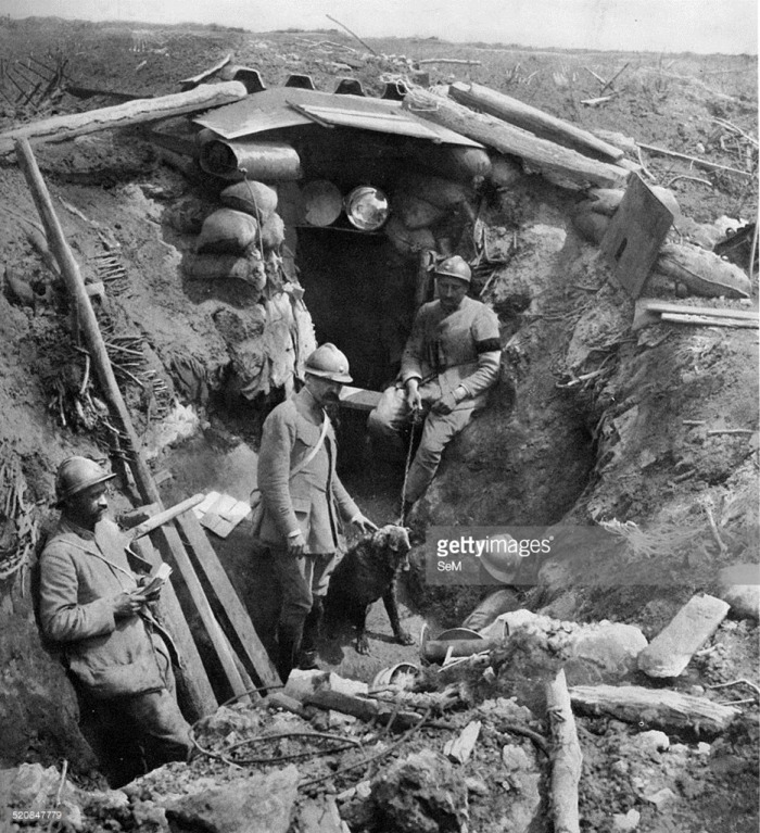24.7a Aisne Trench in the forward position