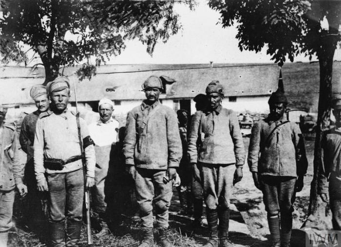 THE RUSSIAN ARMY IN THE ROMANIAN CAMPAIGN, 1916-1917