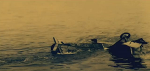 7.8.aa pupinwater-