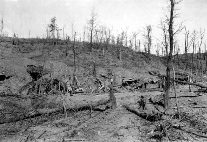 10.2a asiago-ww1