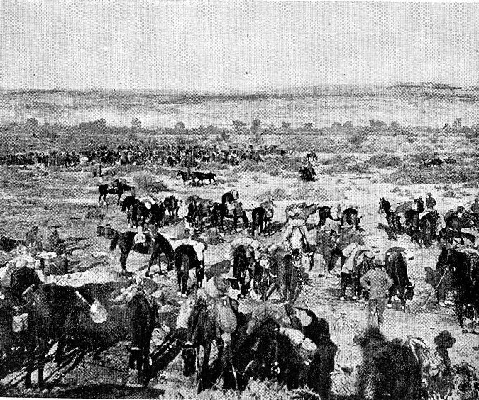 14.2b Allied_forces_halt_in_the_Jordan_Valley_after_the_capture_of_Jericho