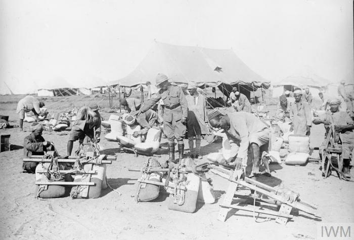 THE BRITISH ARMY IN THE SINAI AND PALESTINE CAMPAIGN, 1915-1918