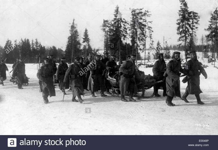 german-troops-in-estonia-1918-E0048P