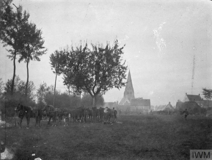 THE BRITISH EXPEDITIONARY FORCE ON THE WESTERN FRONT, 1914-1915