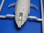 Fotka 021