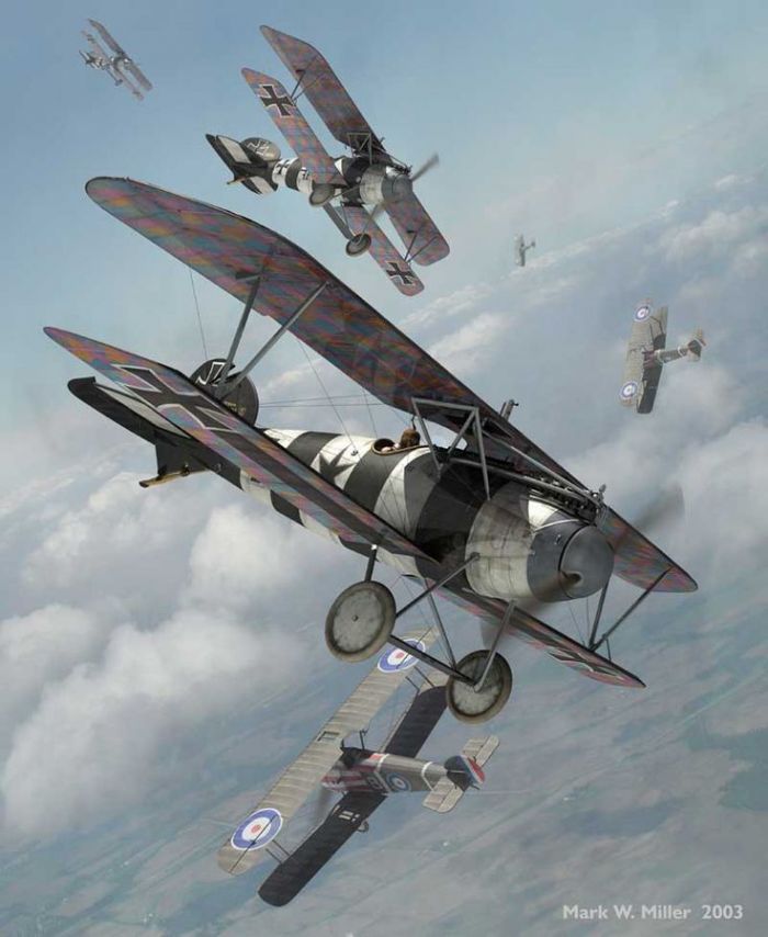 A2 FWWdogfight
