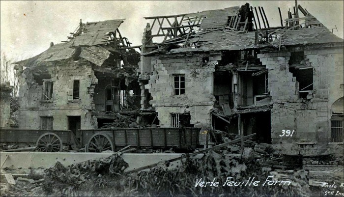 A3 verte.feuille.farm