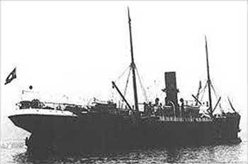 11.8cc euterpe