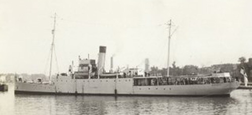 16.7b anchusa